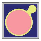 Methance detection Φ250 μm PD V3